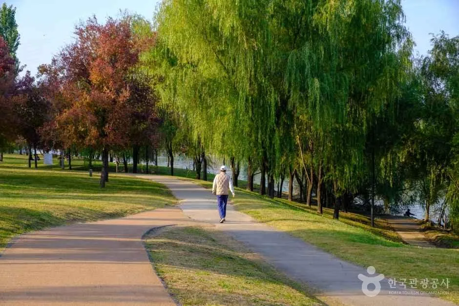 People relaxing at a Han River park in Seoul