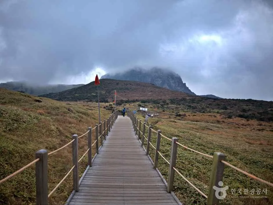 Winter: does it snow on Jeju Island?