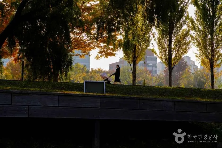 The Han River and its riverside park in Seoul