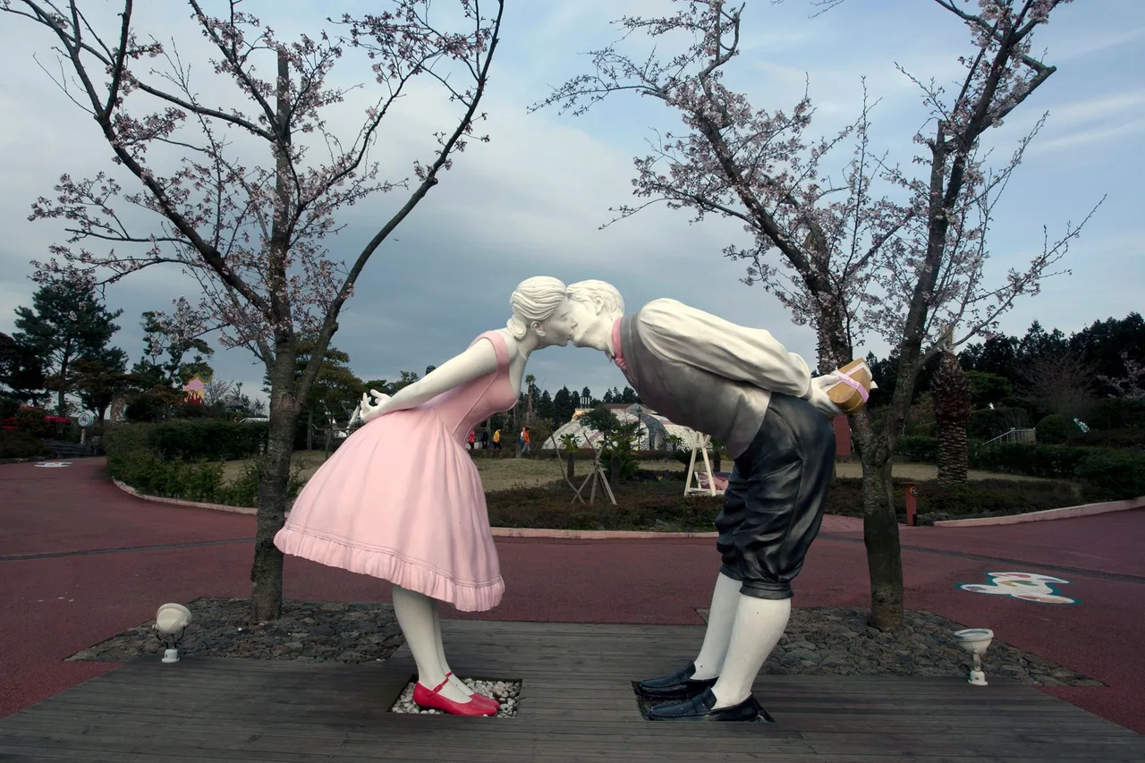 Cherry blossoms on Jeju Island