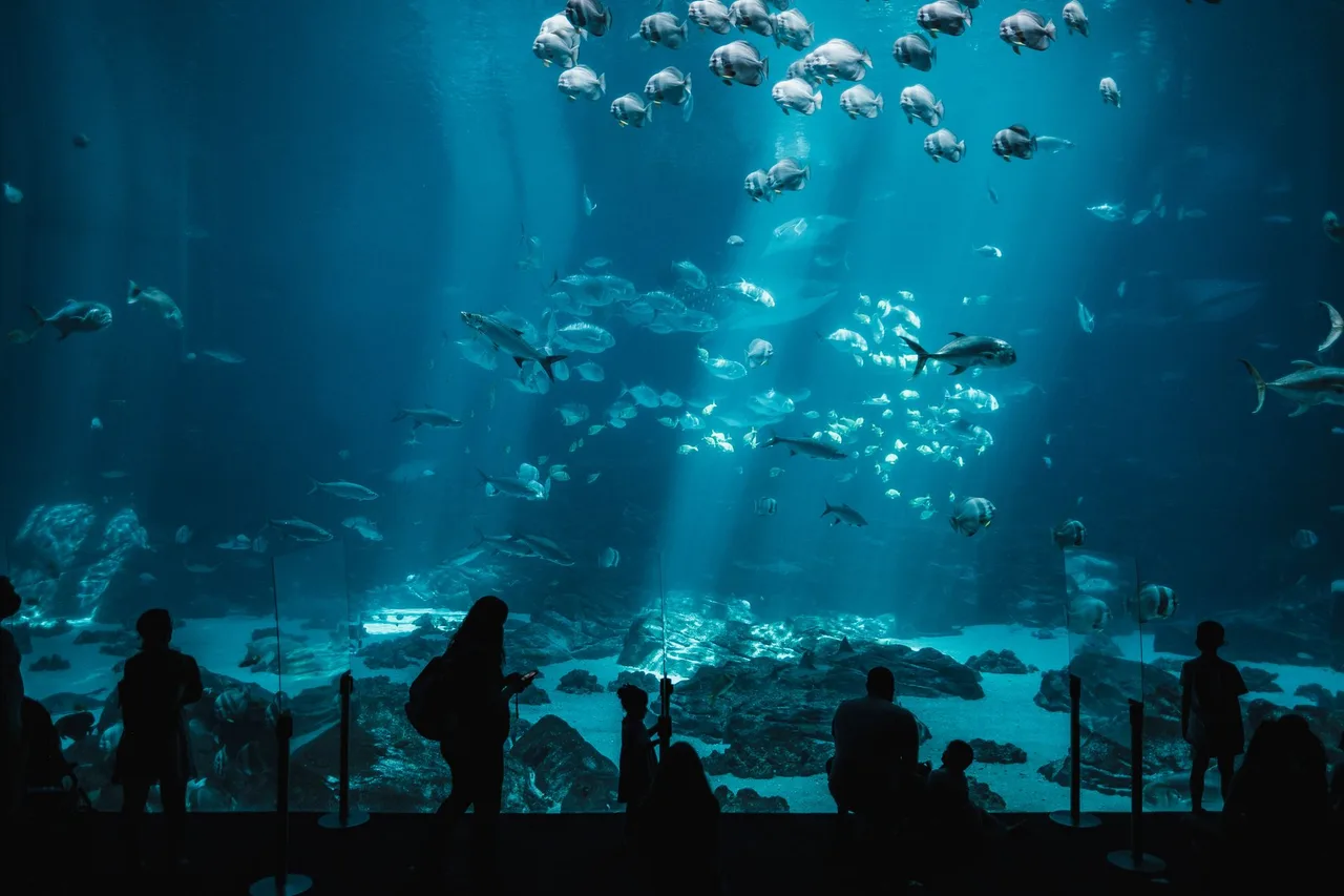 Vivaldi Park Ocean World
