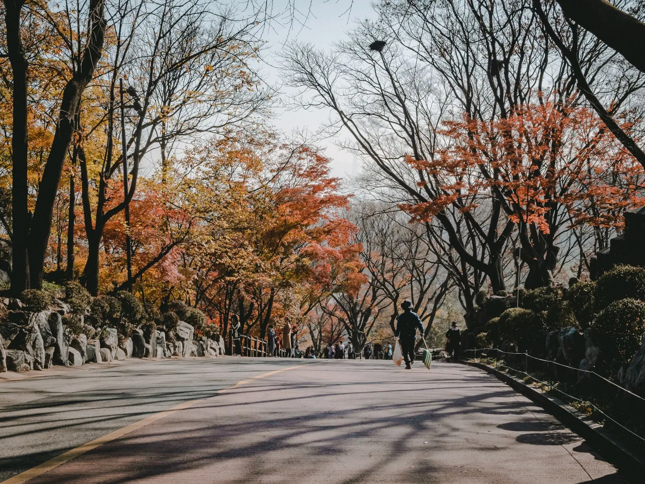 단풍 가을 풍경