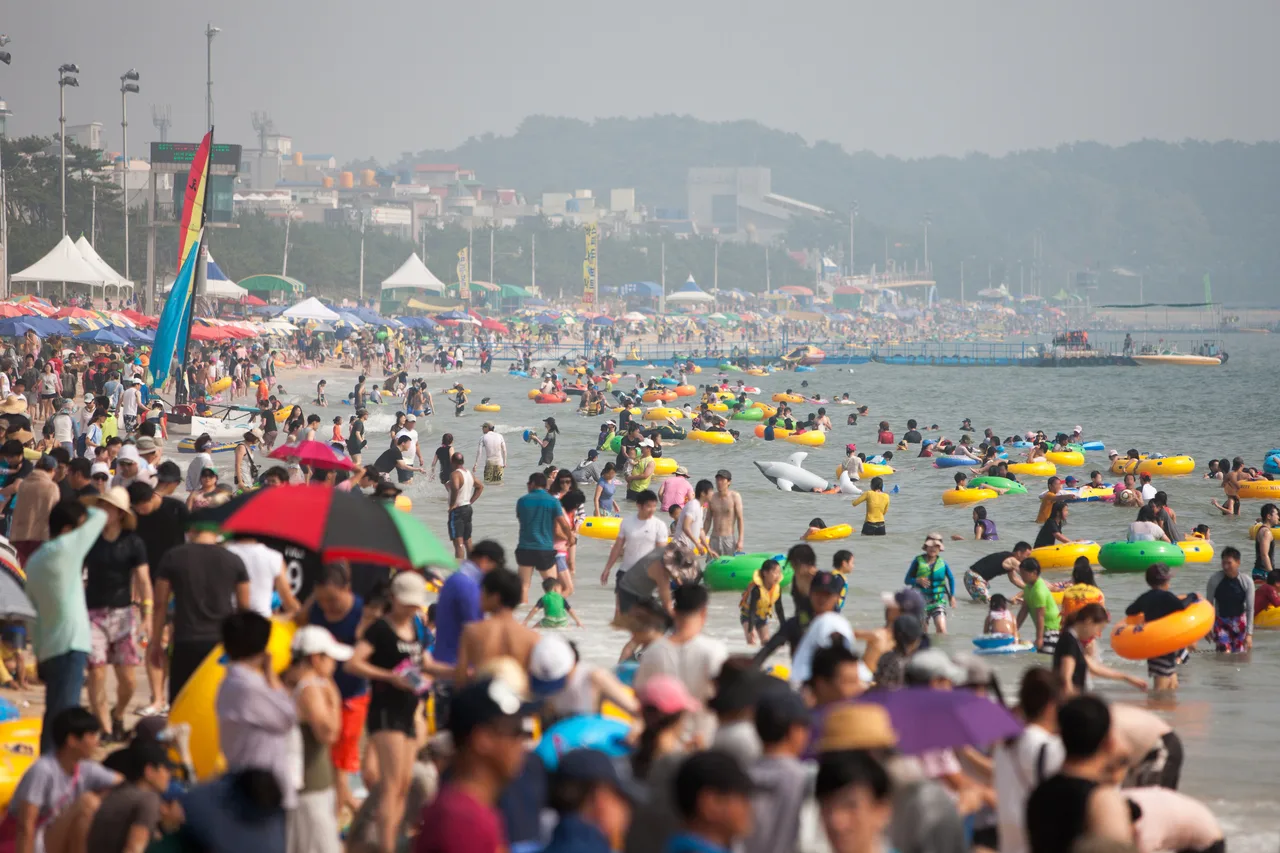The Boryeong Mud Festival, explained