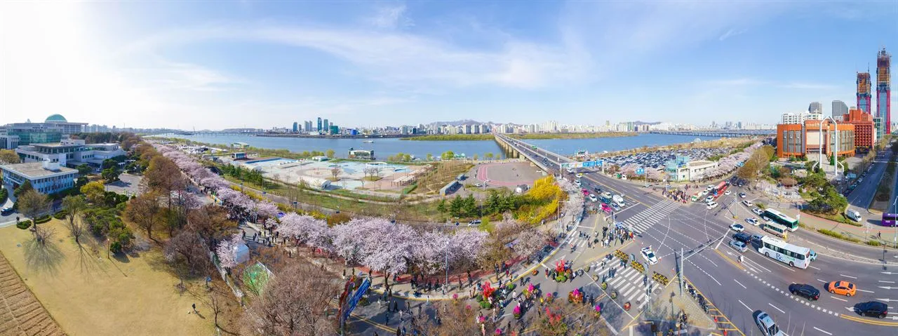 Cherry blossom season in Korea: when and where