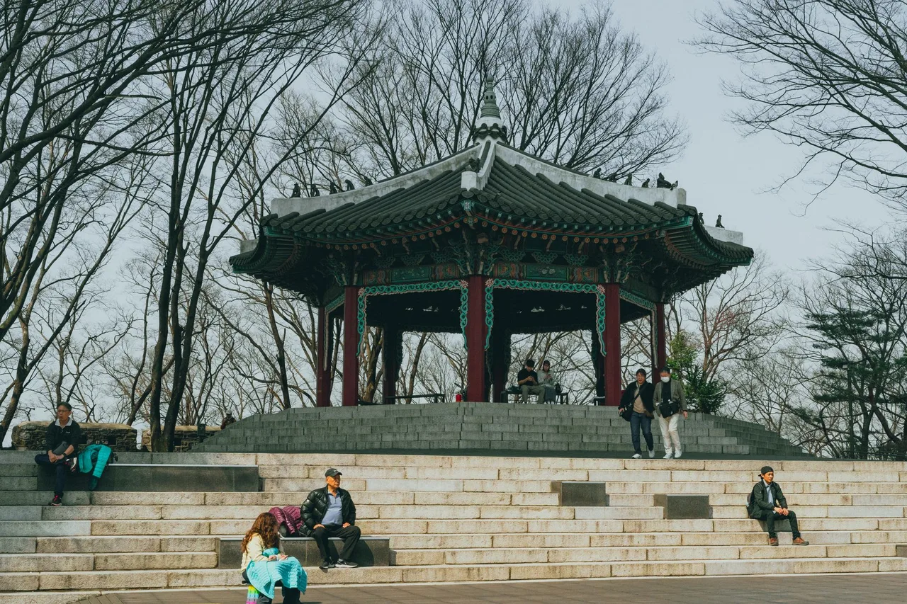 Cherry blossoms at Namsan Park